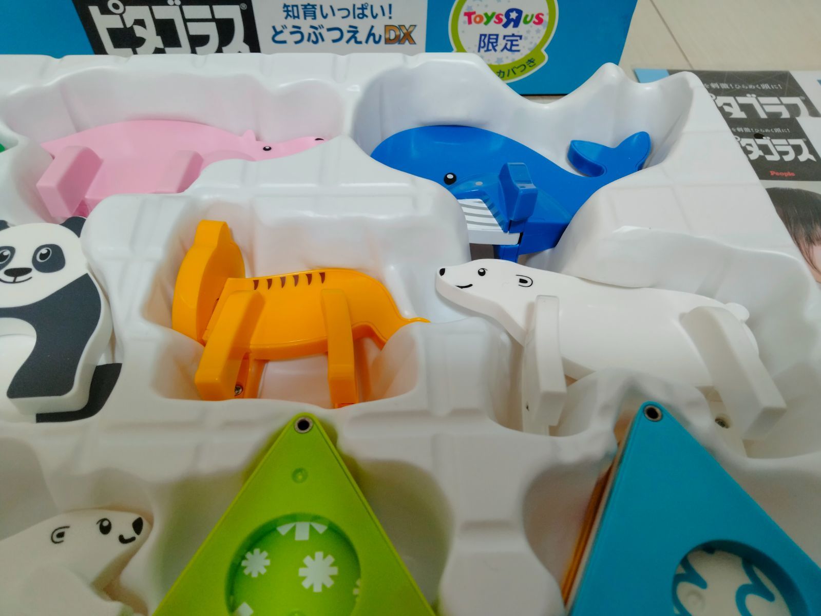 トイザらス限定 ピタゴラス 知育いっぱい！どうぶつえんDX BASIC