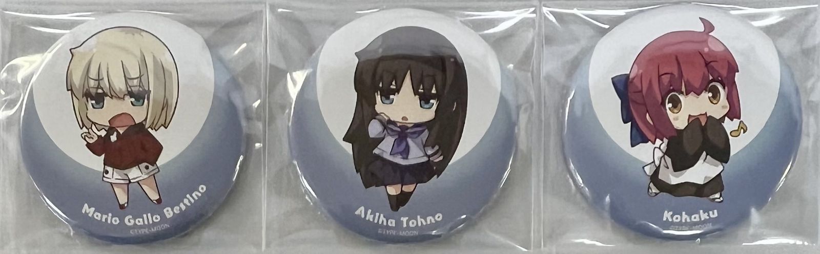 月姫　C99 缶バッジ＆サコッシュセット C99グッズ 月姫 A piece of blue glass moon サコッシュ＆缶バッジ(12