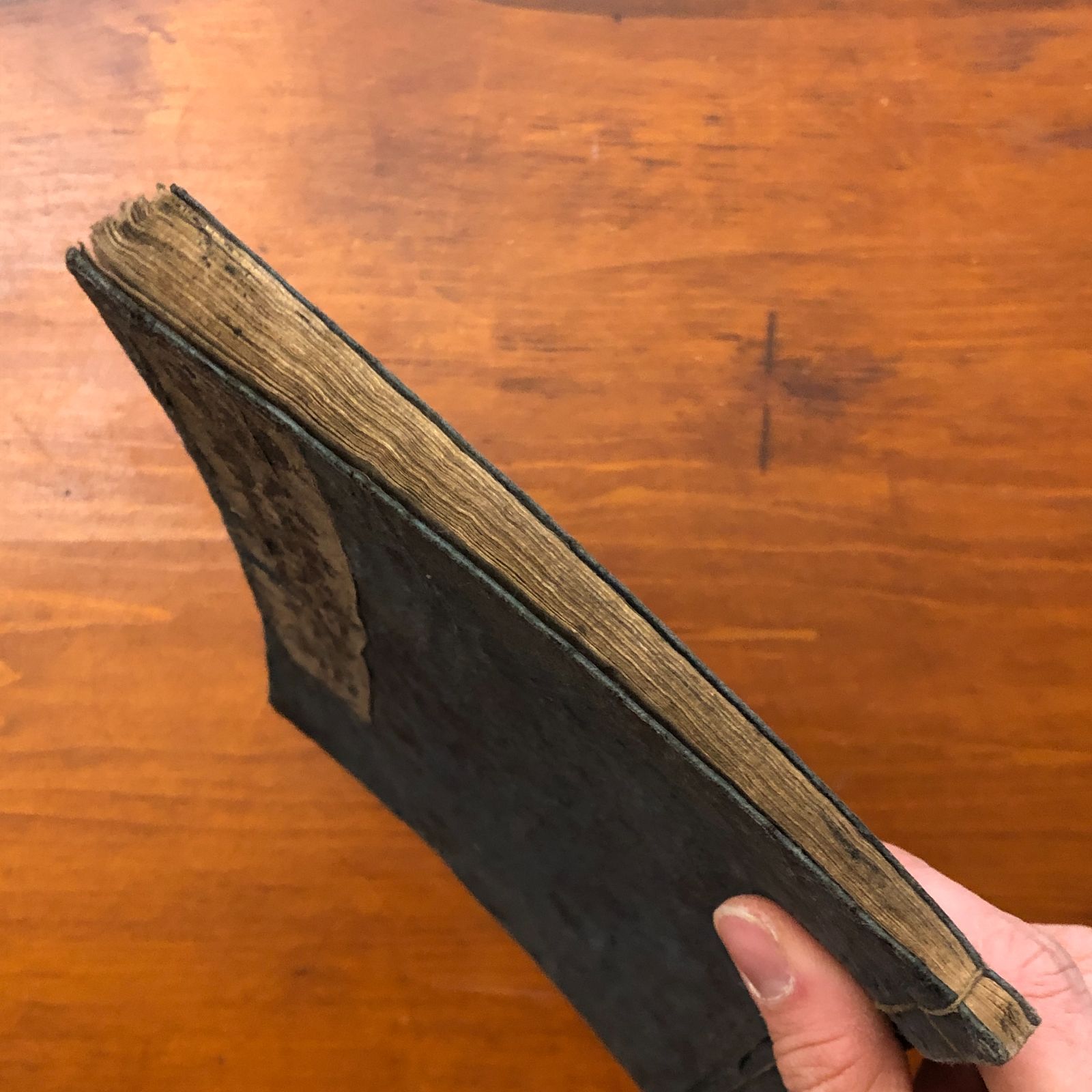 弘化古状揃倭錦 完 東都書林 山崎屋清七 ☆和本/往来物/教科書/大本 