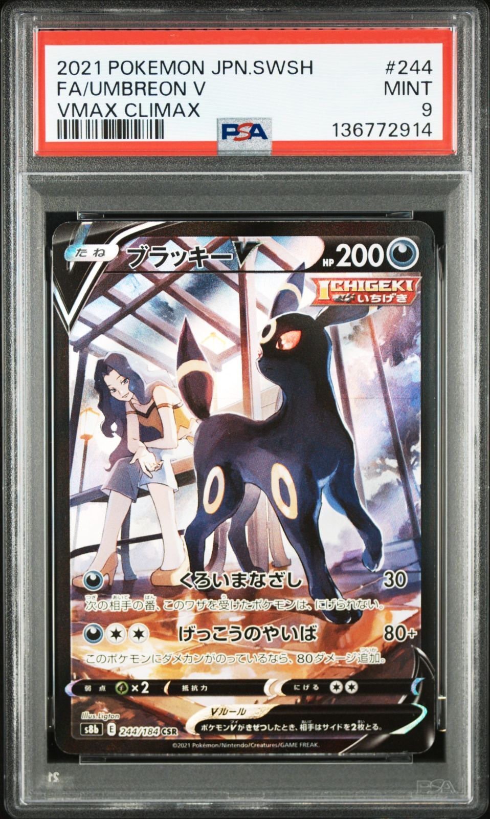 ブラッキーV CSR PSA9 [S8b 244/184](ハイクラスパック「VMAX