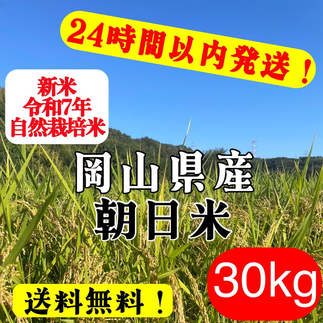 岡山県産 朝日 玄米30kg 業務用 自然栽培 - メルカリ
