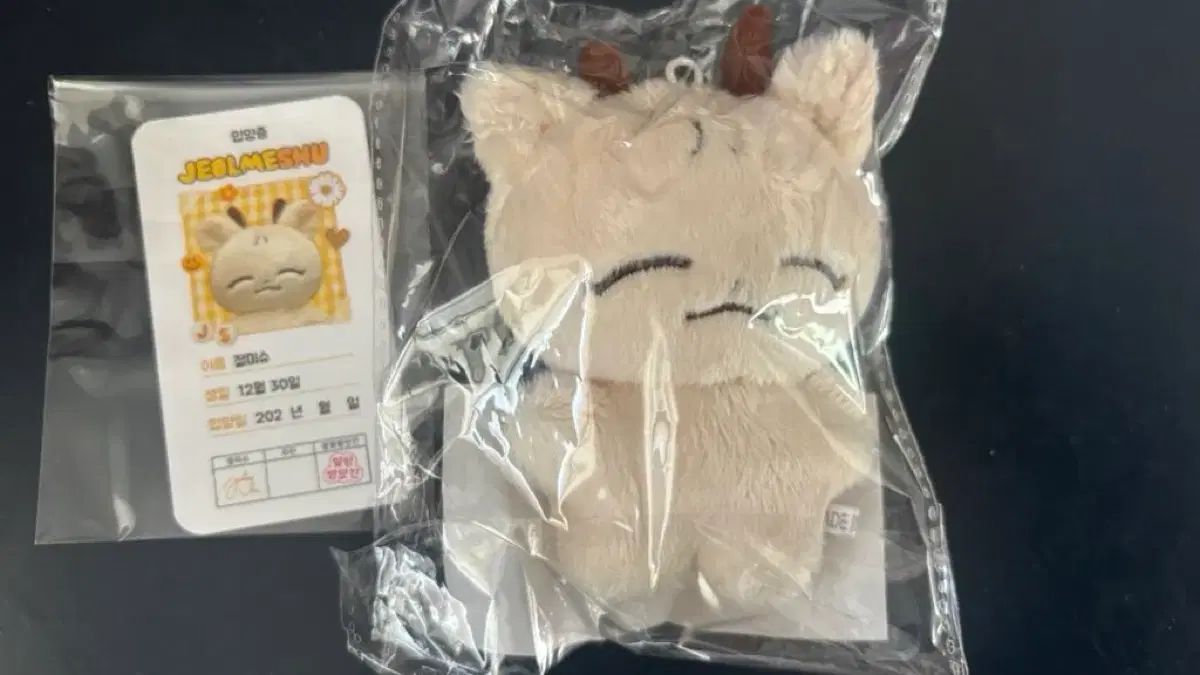 ジョシュア ぬいぐるみ ぬい ジョンハン ぬいぐるみ SEVENTEEN 