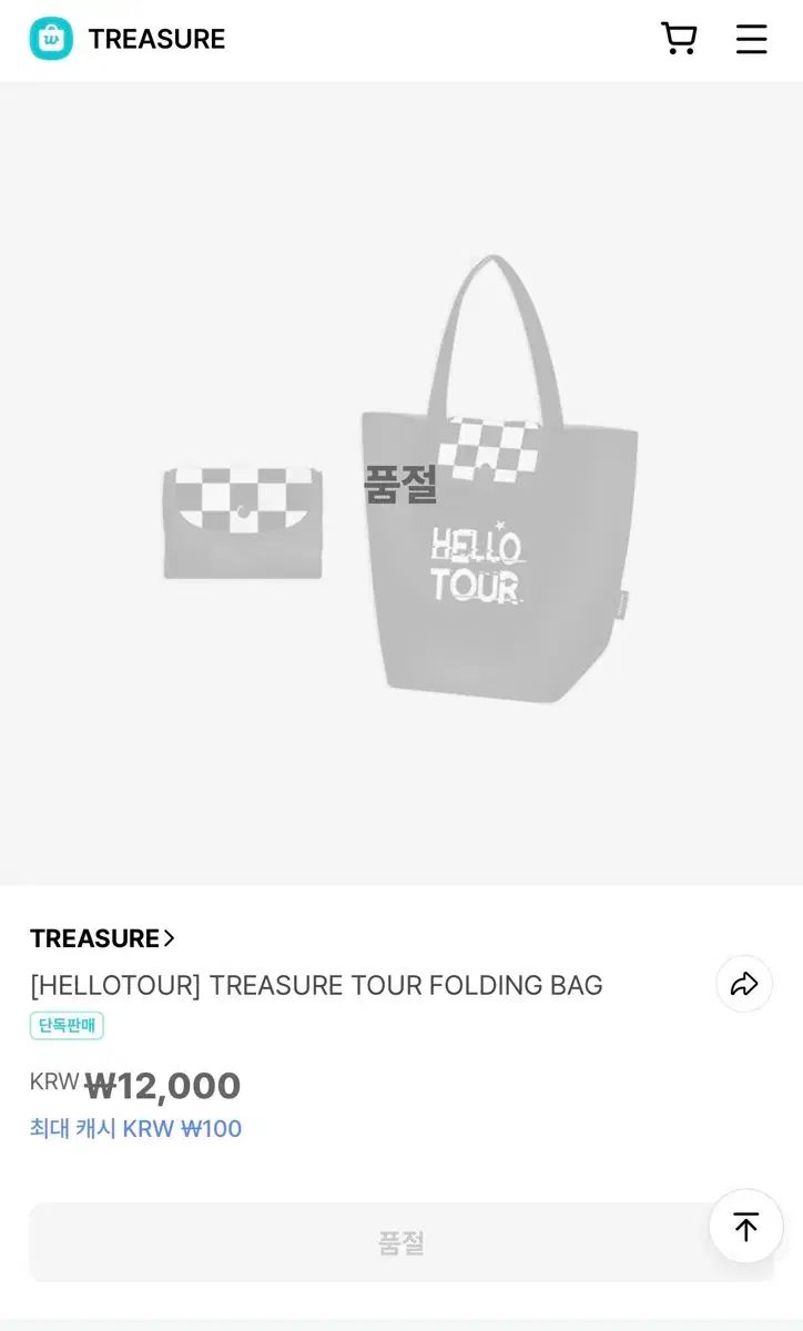 新品 TREASURE（トレジャー） HELLO（ハロー）ツアー グッズ MD バッグ