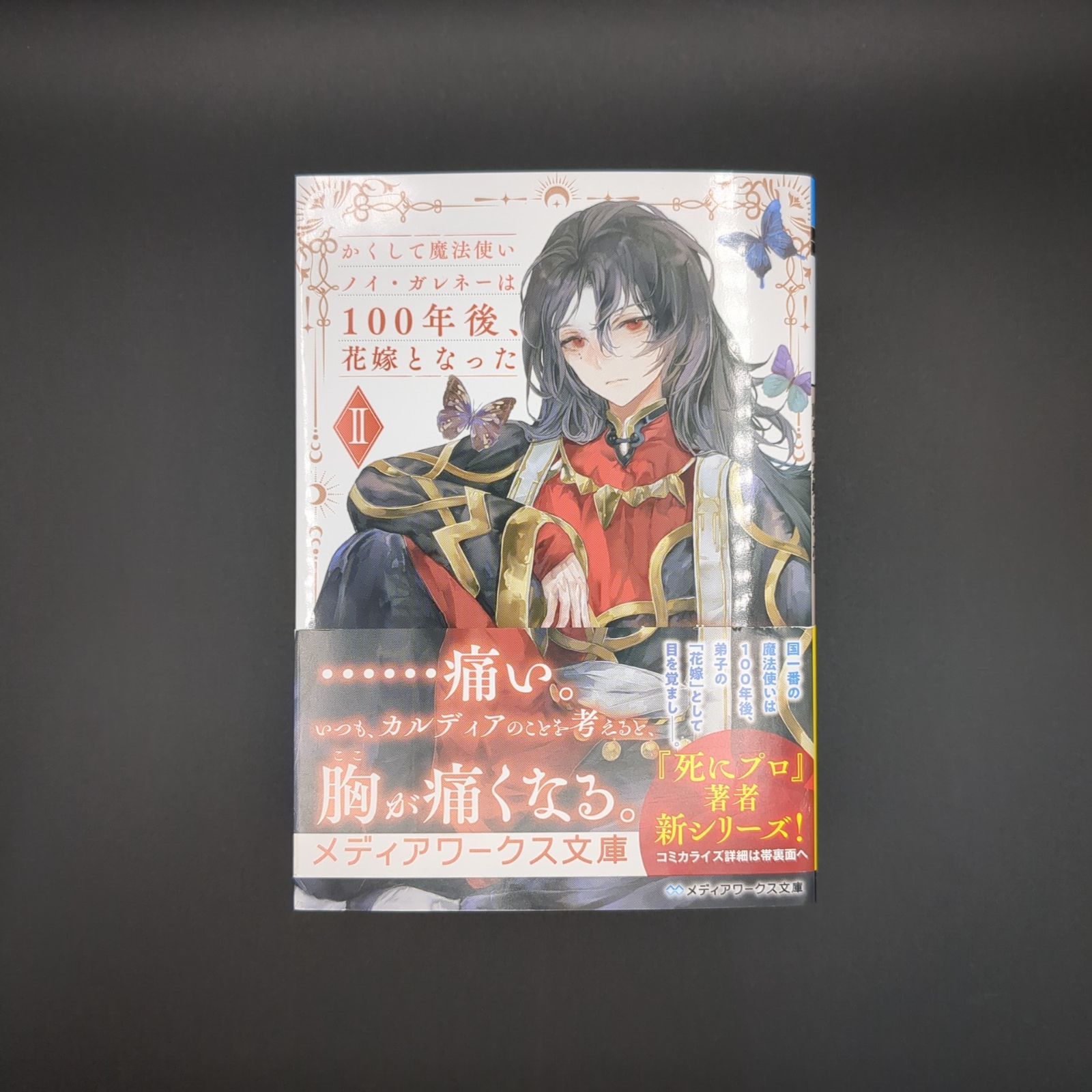 かくして魔法使いノイ・ガレネーは100年後、花嫁となったII / 六つ花