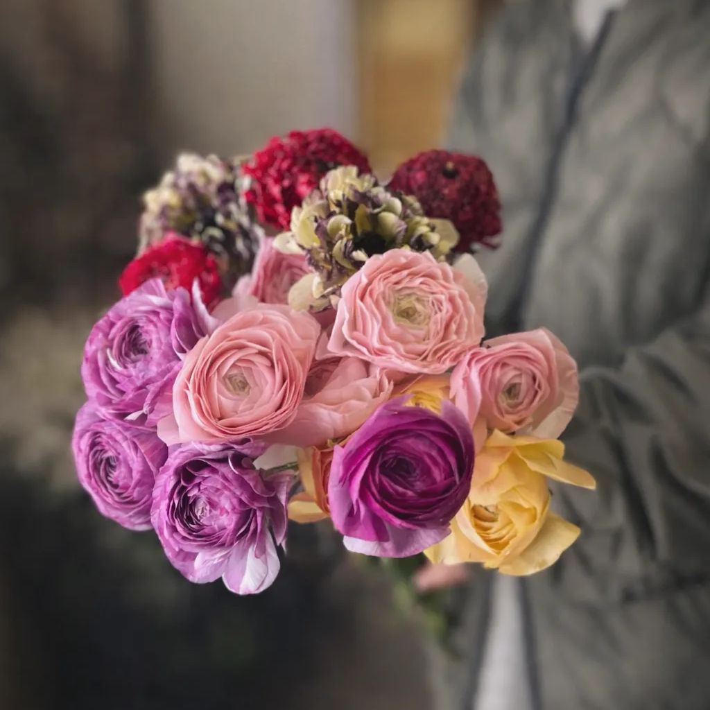 ラナンキュラス お任せmix 20本 - メルカリ