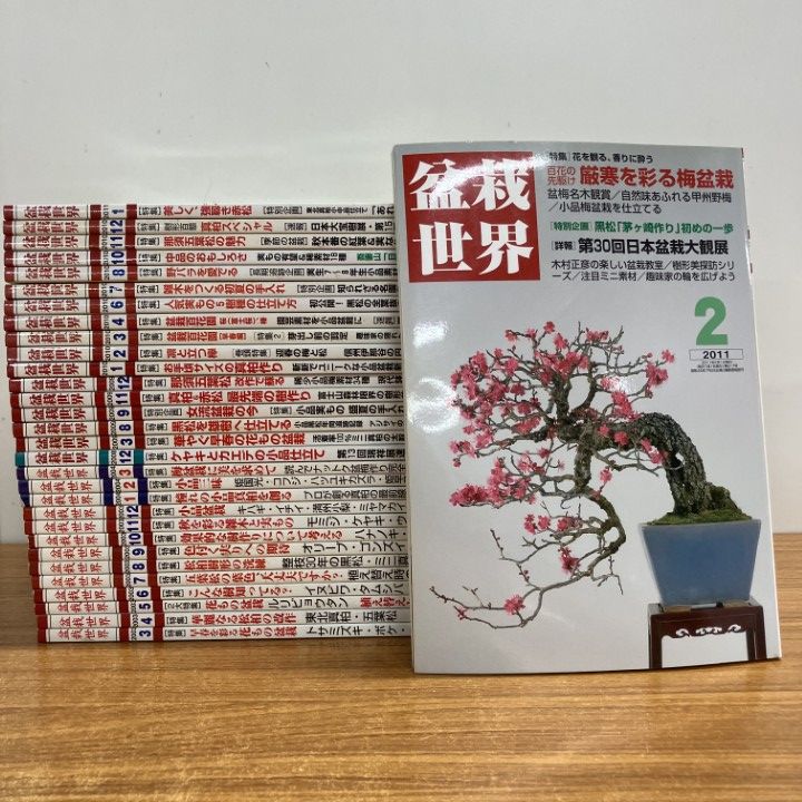 盆栽世界 皐月界 専門誌 まとめ売り 01)【1点限り!】盆栽世界 2003年～2011年 まとめ売り約30冊大量セット