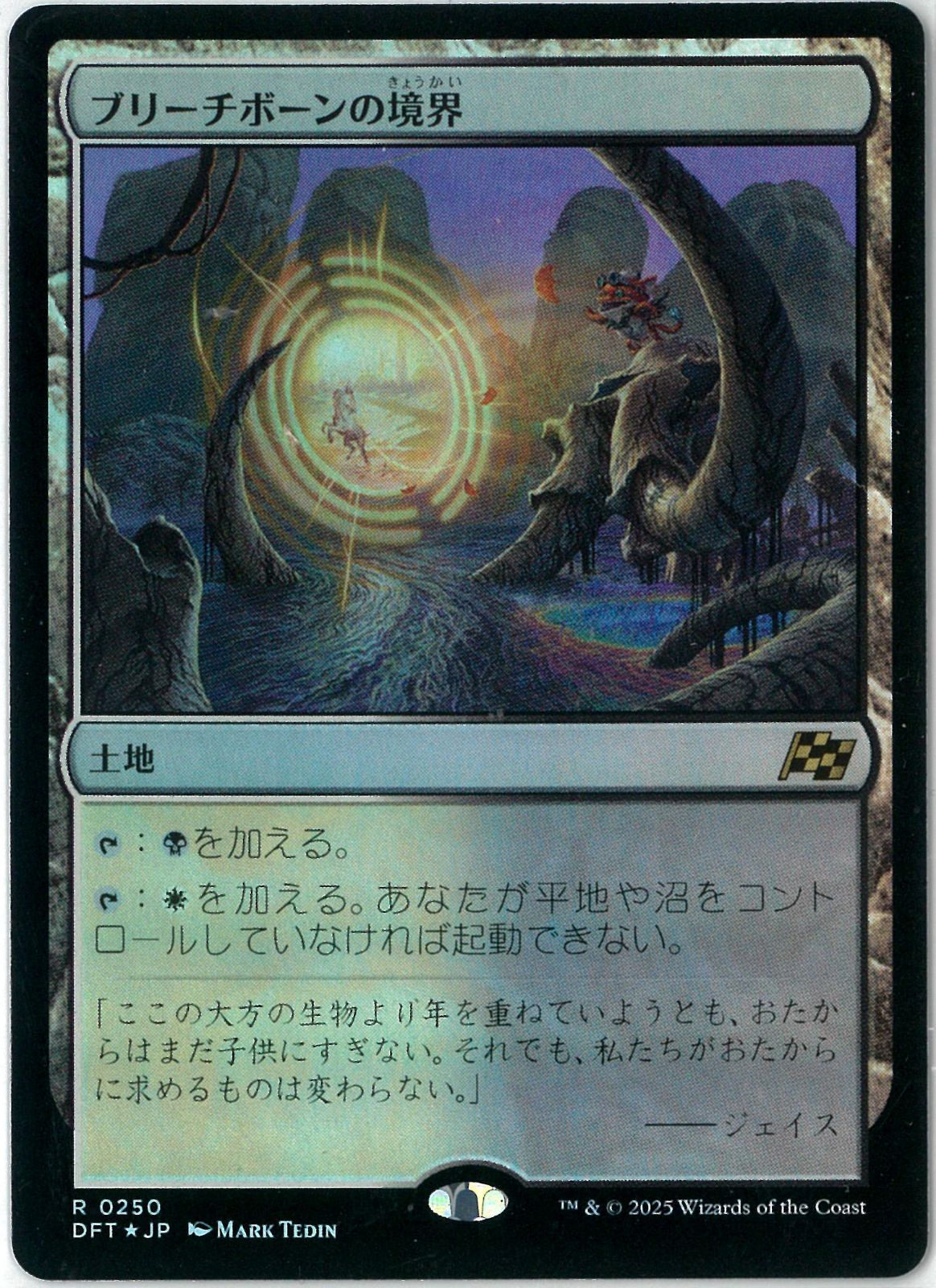 FOIL/MTG/日本語版/ブリーチボーンの境界/Bleachbone Verge/霊気走破