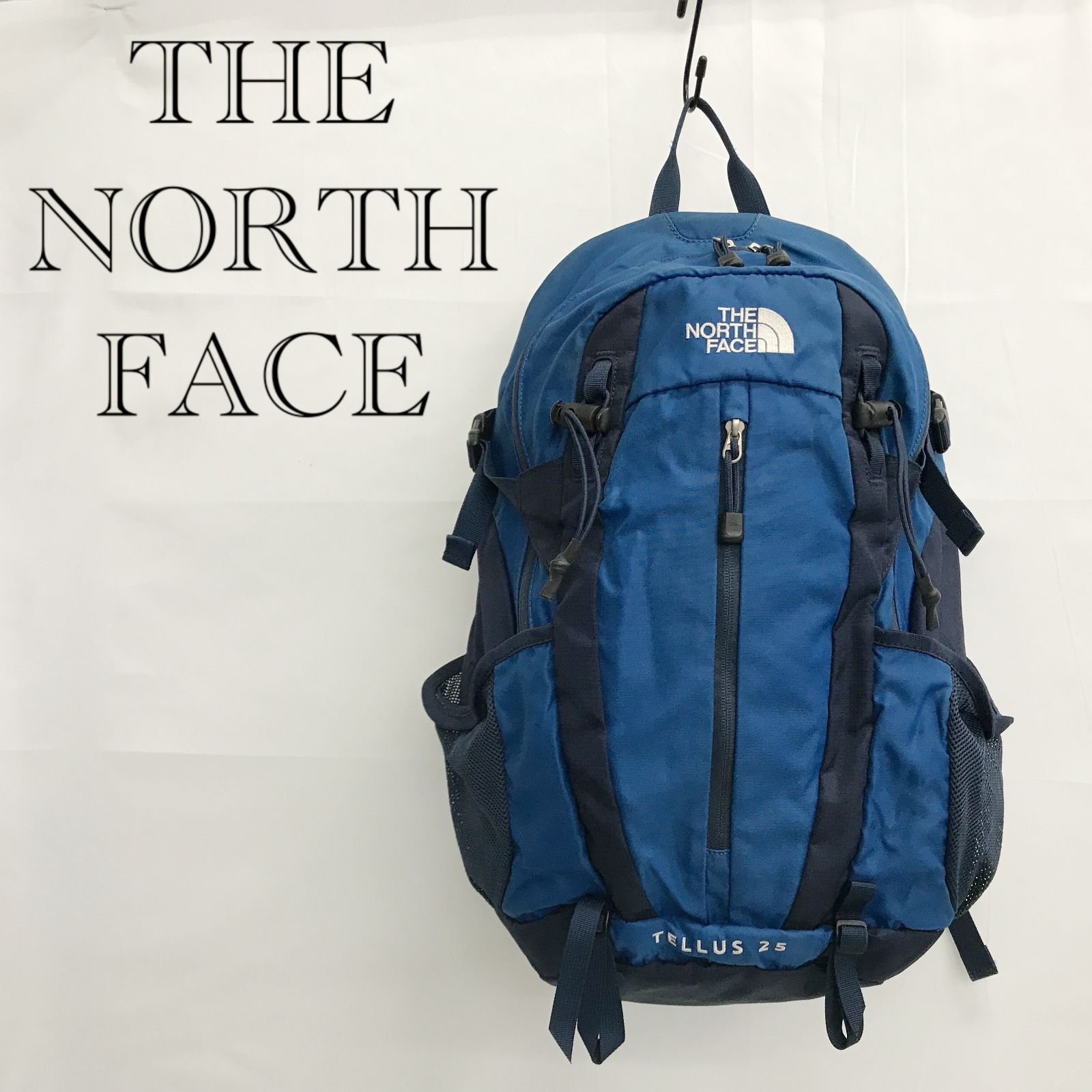 THE NORTH FACE ノースフェイス TELLUS 25 テルス NM61309 バック 