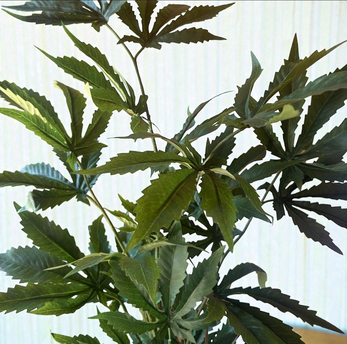光触媒　フェイクグリーン　◯◯ファナ　人工観葉植物　◯麻　造花　草　CBD916 光触媒 フェイクグリーン マリファナ 人工観葉植物 大麻 造花 草