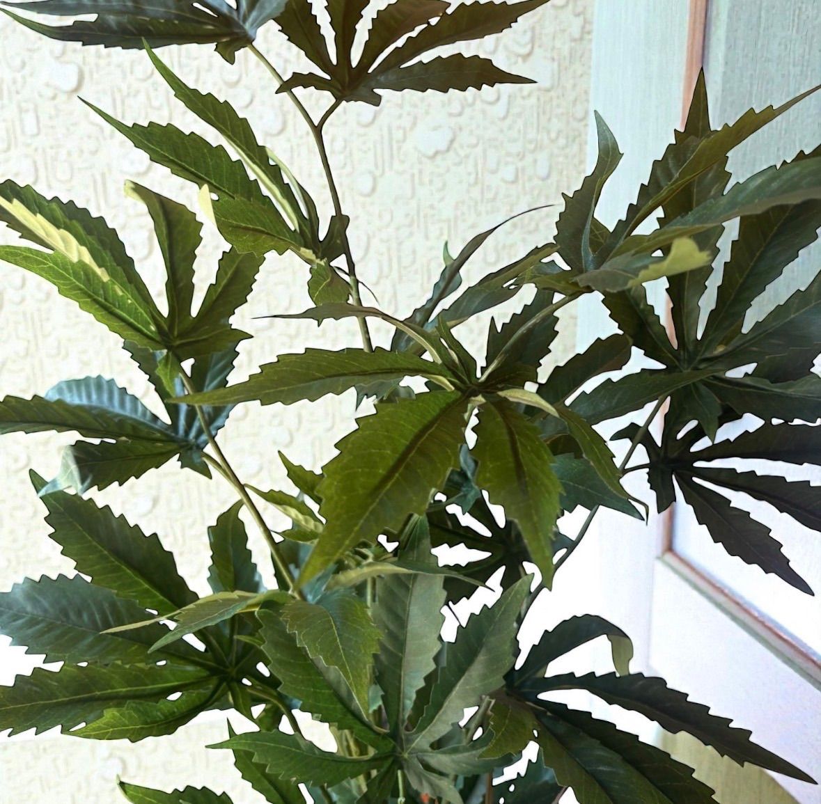 光触媒 フェイクグリーン マリファナ 人工観葉植物 大麻 造花 草