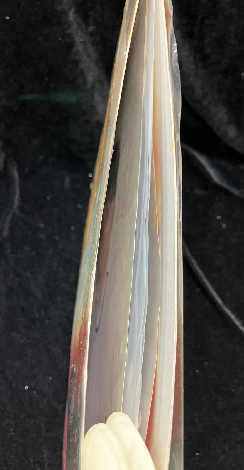 ザ・キュアー 日本人の囁き THE CURE JAPANESE WHISPERS 国内 LP 帯