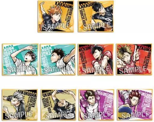 中古】紙製品 全10種セット 「ハイキュー!! 激闘!!トレーディングホロ