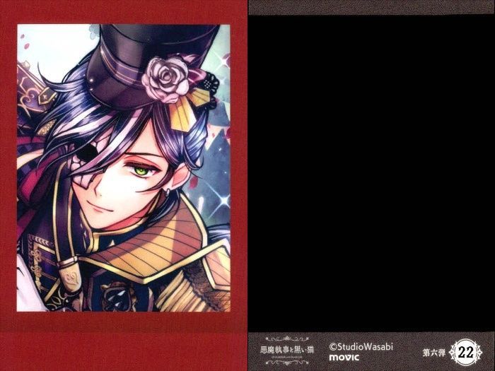 ux389 【あくねこ】ぱしゃこれ フェネス ベリアン等 4枚セット まとめ