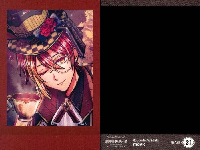 ux389 【あくねこ】ぱしゃこれ フェネス ベリアン等 4枚セット まとめ