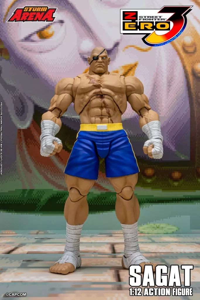 「写真の現品サガットストリートファイター1/12 アクションフィギュア3本セット 中古】フィギュア サガット 「ストリートファイターZERO3」 1/12