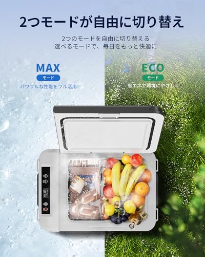 EUHOMY 車載冷蔵庫 ポータブル冷蔵庫 小型 10L 【-20℃?20℃ 急速冷凍