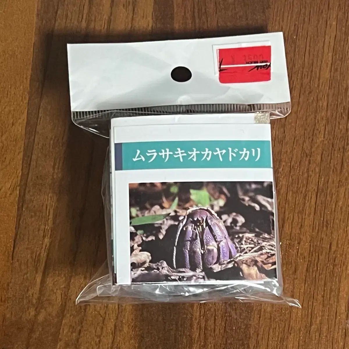 非常に良い】TATUYA ISHII CONCERT TOUR 2013 WHITE MOONLIGHT [DVD