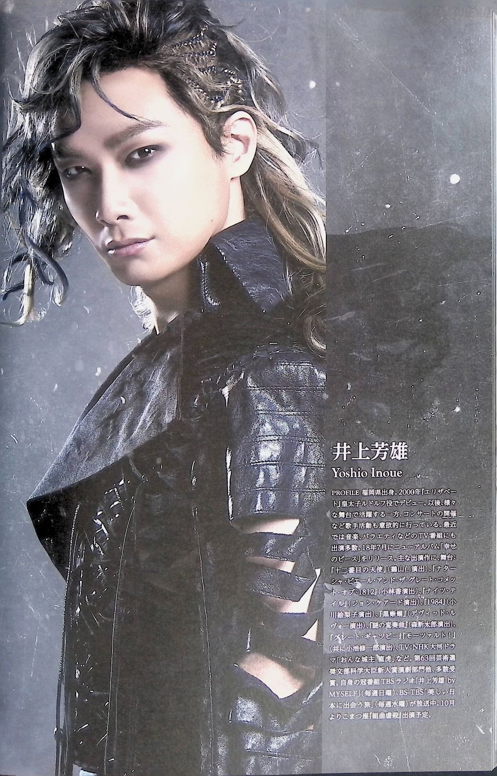 ミュージカル パンフレット エリザベート Elisabeth 主演 花總まり 愛