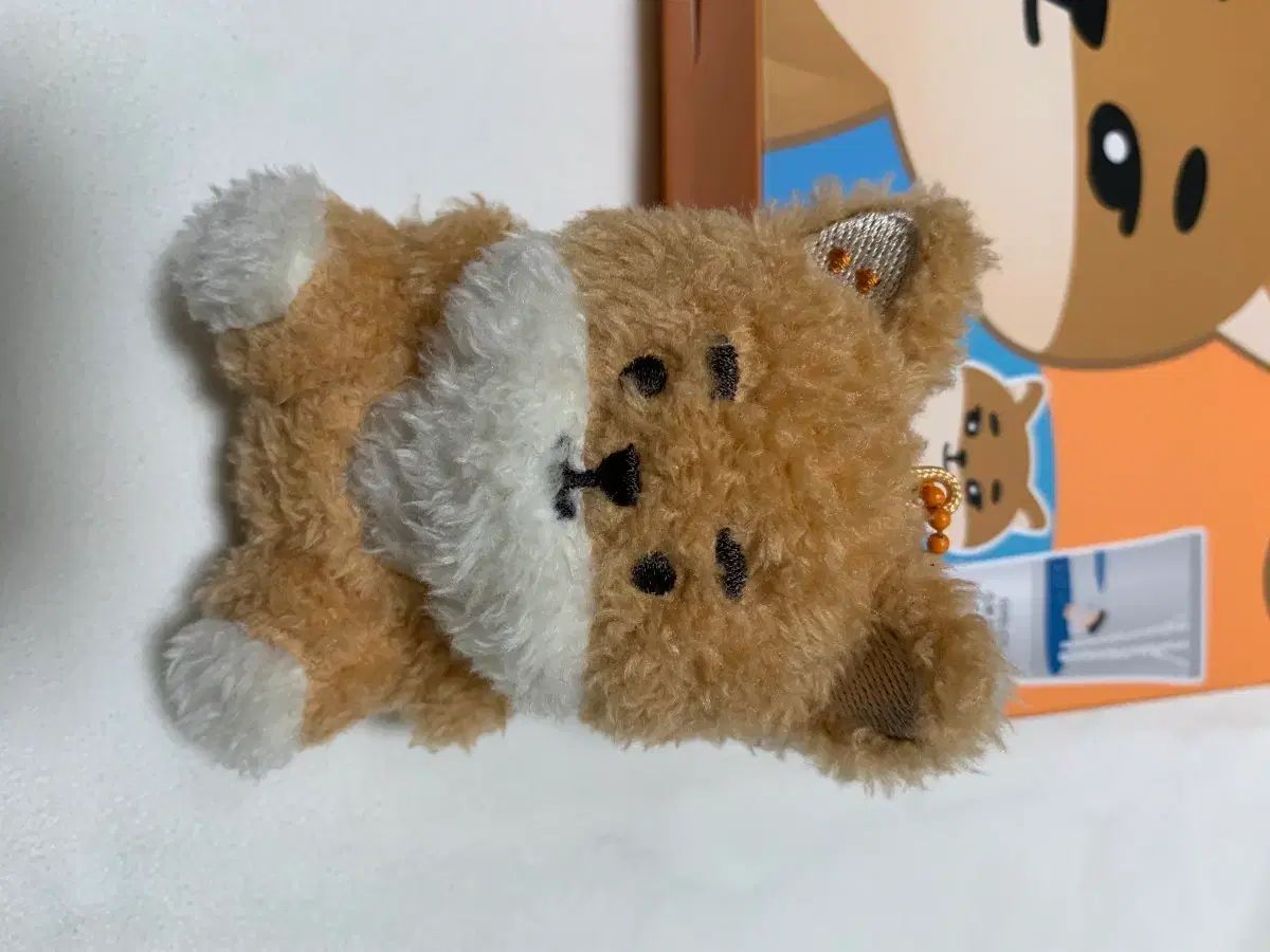 DAY6（デイシックス） デニマルズ(DENIMALZ) プチマルチ おすわり