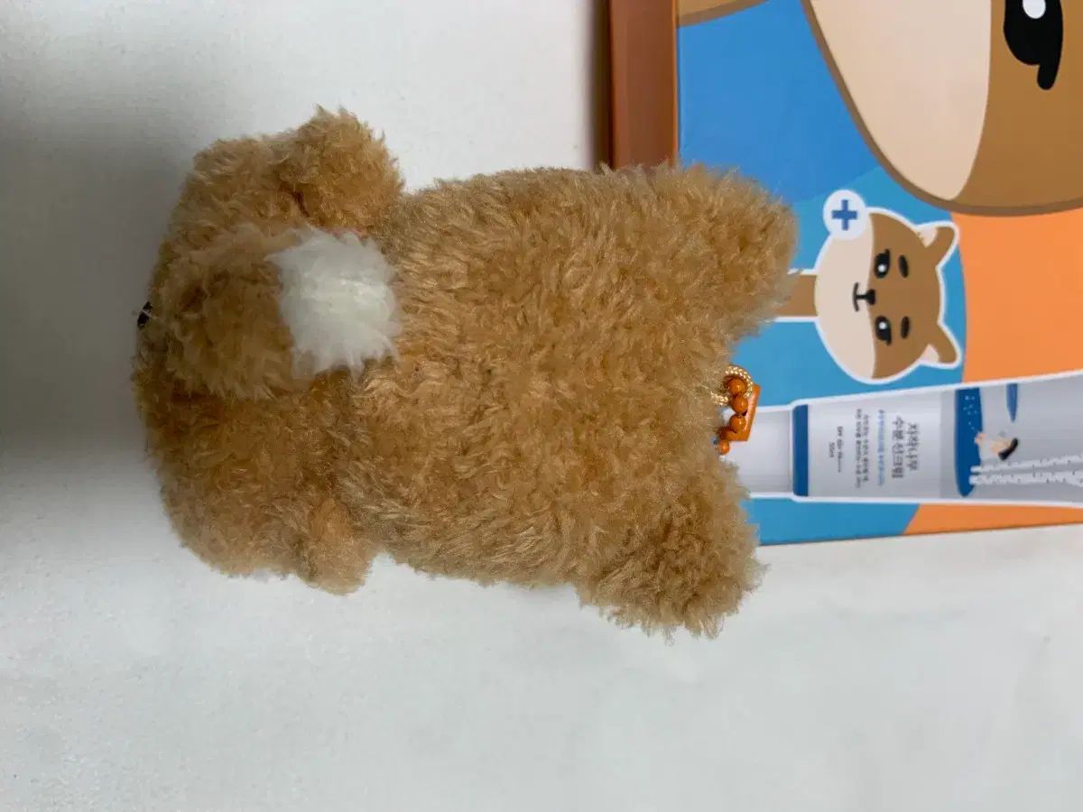 DAY6（デイシックス） デニマルズ(DENIMALZ) プチマルチ おすわり