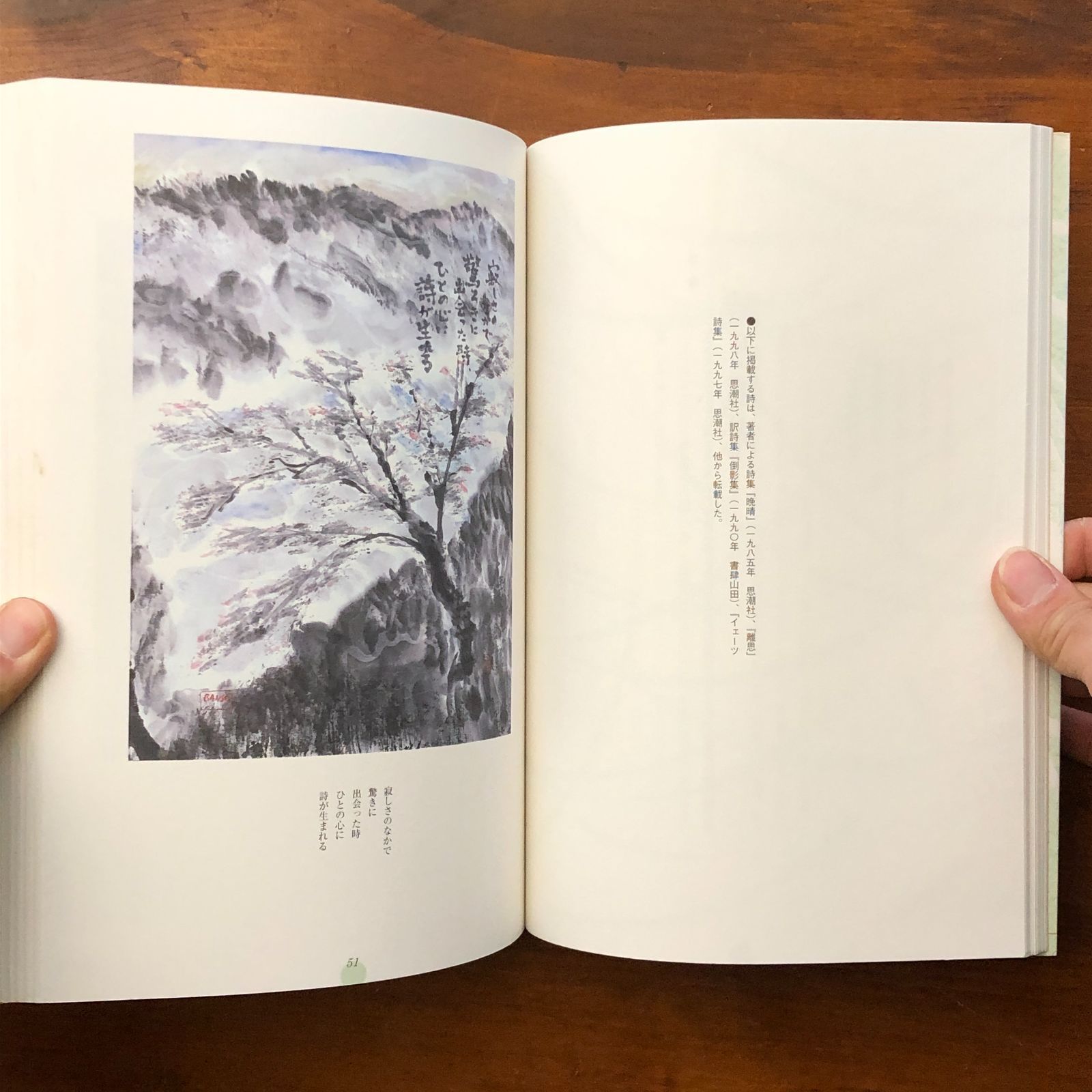劇レア 心よ、ここに来ないか 加島祥造 詩画文集 心よ ここに来ないか 加島祥造詩画文集 加島祥造 日貿出版社 1998年4月