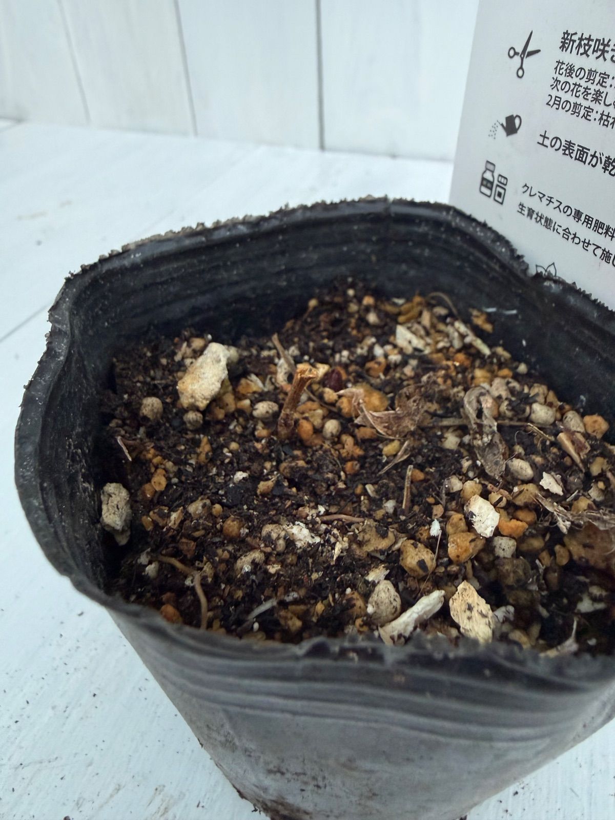 クレマチス踊場 - メルカリ