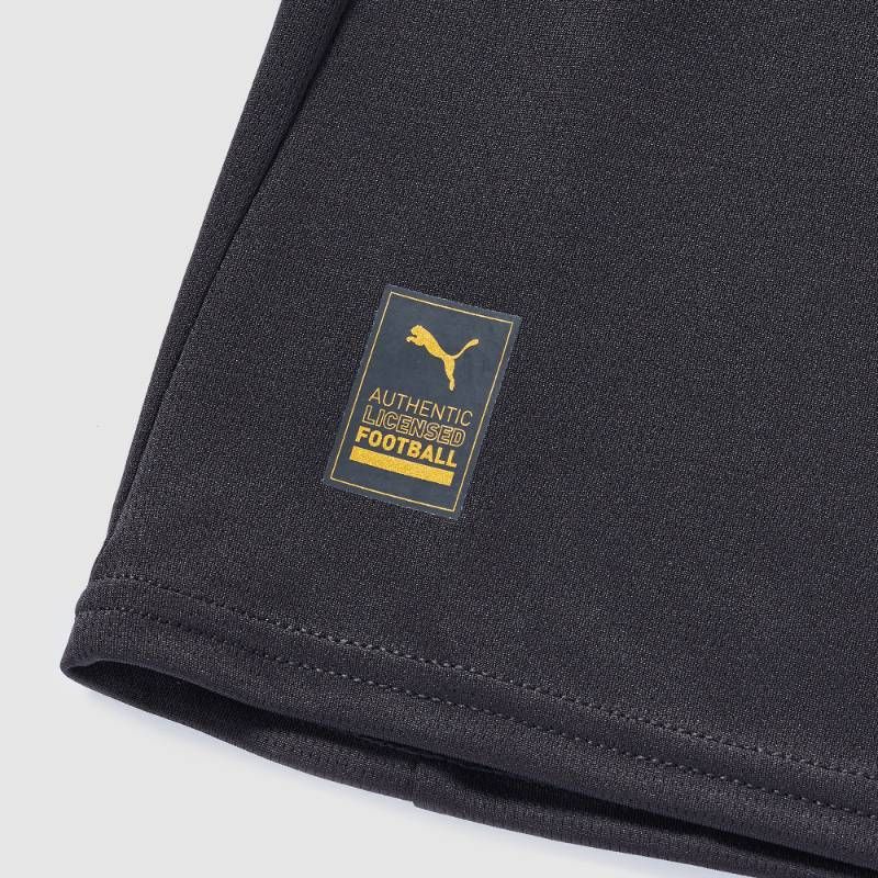 送料無料・匿名配送】PUMA プーマ マンチェスター・シティ 25/26