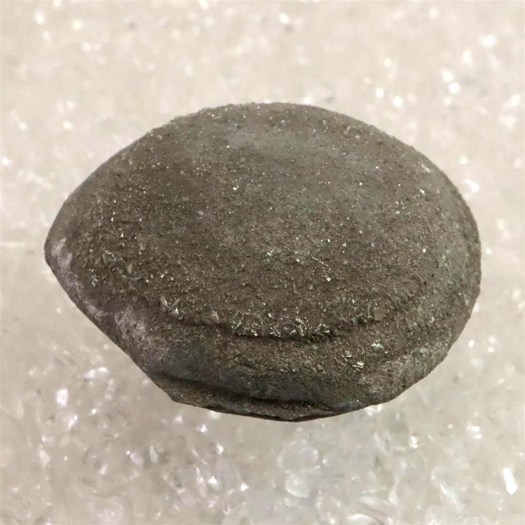 84.1g