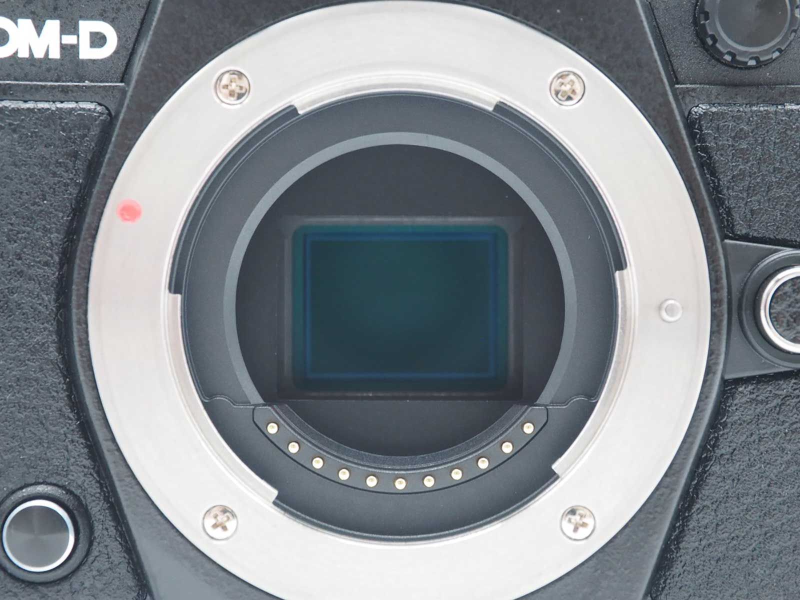 オリンパス Olympus OM-D E-M5 II 16.1MP Camera Black 10554 Shots 元