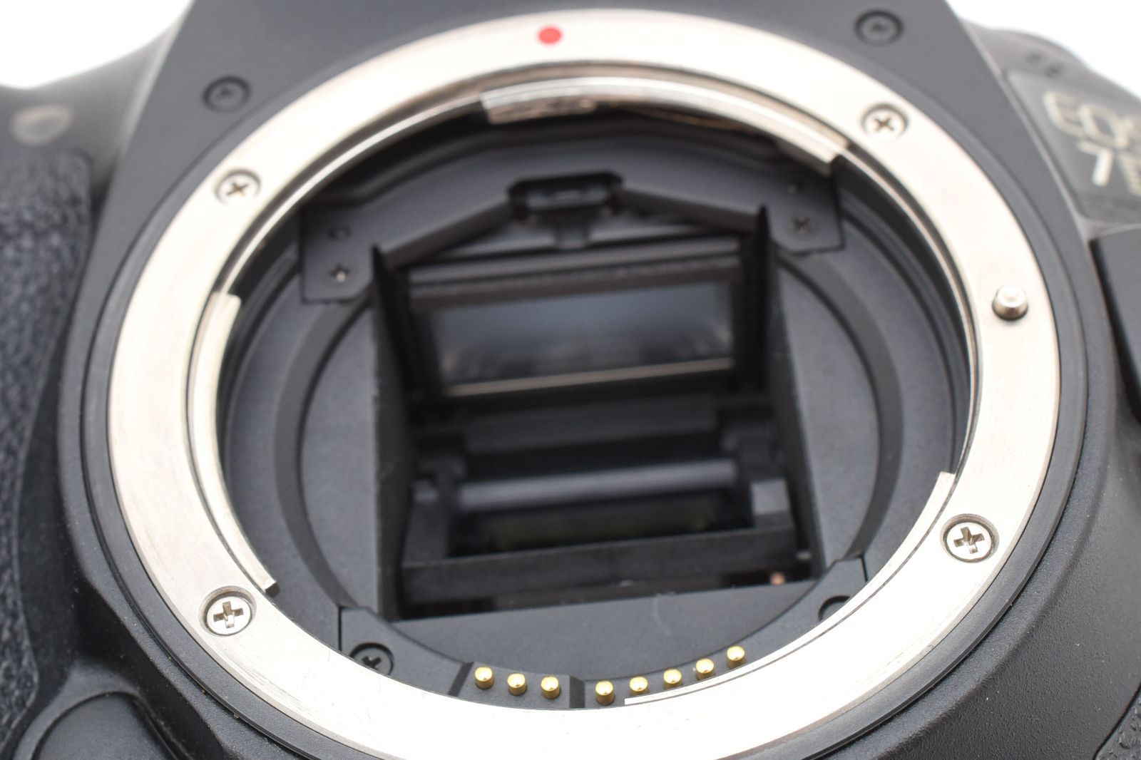 ☆シャッターOK☆ キヤノン Canon EOS 7D Mark II ボディ デジタル一眼