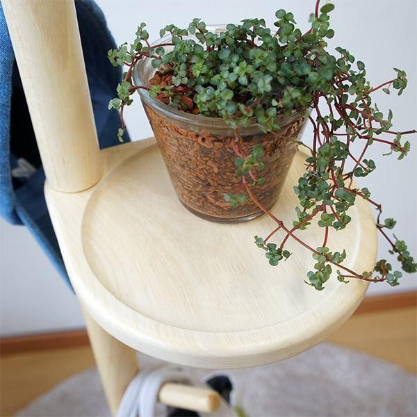 ポールハンガー 約幅44cm ナチュラル 天然木 キツツキモチーフ トレー