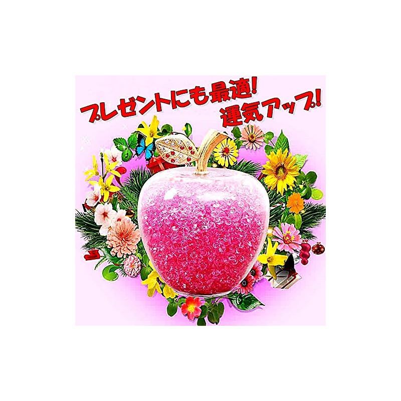 TradeWind] 運気アップ 風水 開運 幸運林檎 リンゴ インテリア