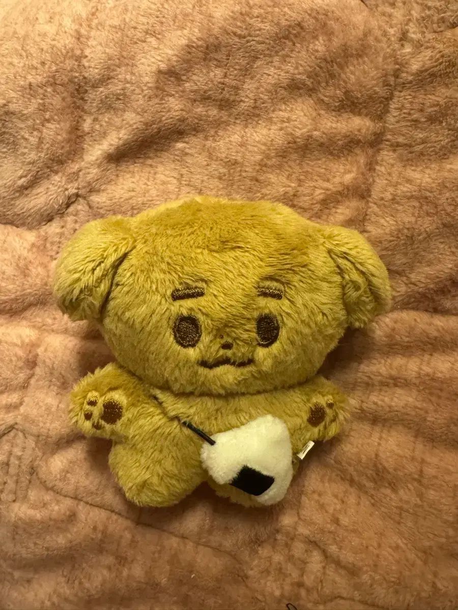 パク・ヒョンシク俳優 ぬいぐるみ IN - メルカリ