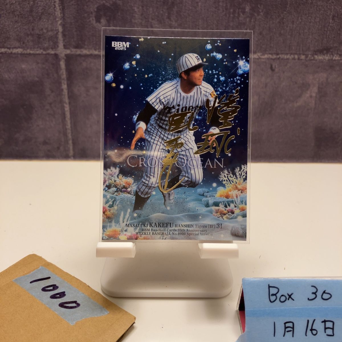 2025 BBM 掛布雅之 022/200 金箔サイン 阪神タイガース Cross Ocean