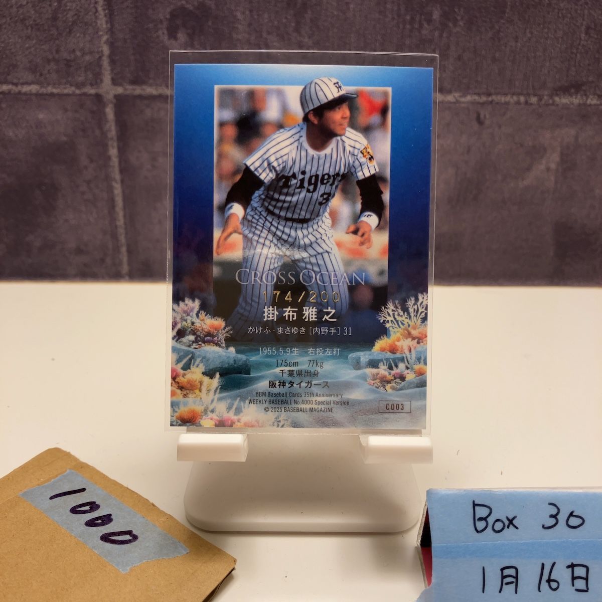 2025 BBM 掛布雅之 174/200 金箔サイン 阪神タイガース Cross Ocean