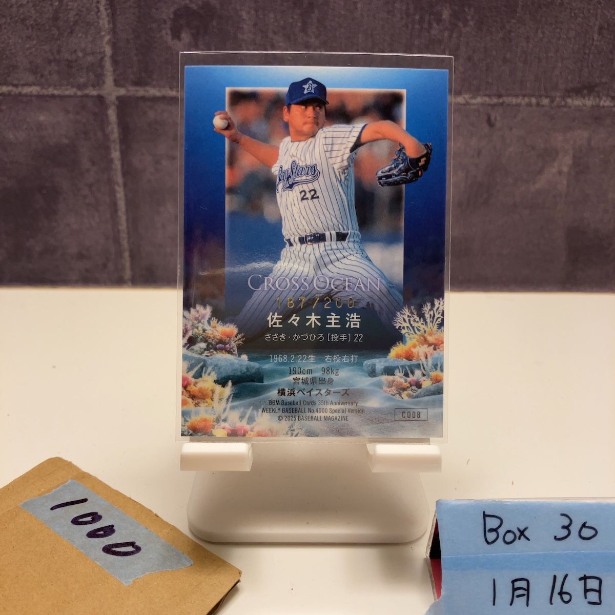 2025 BBM 佐々木主浩 187/200 金箔サイン 横浜ベイスターズ Cross