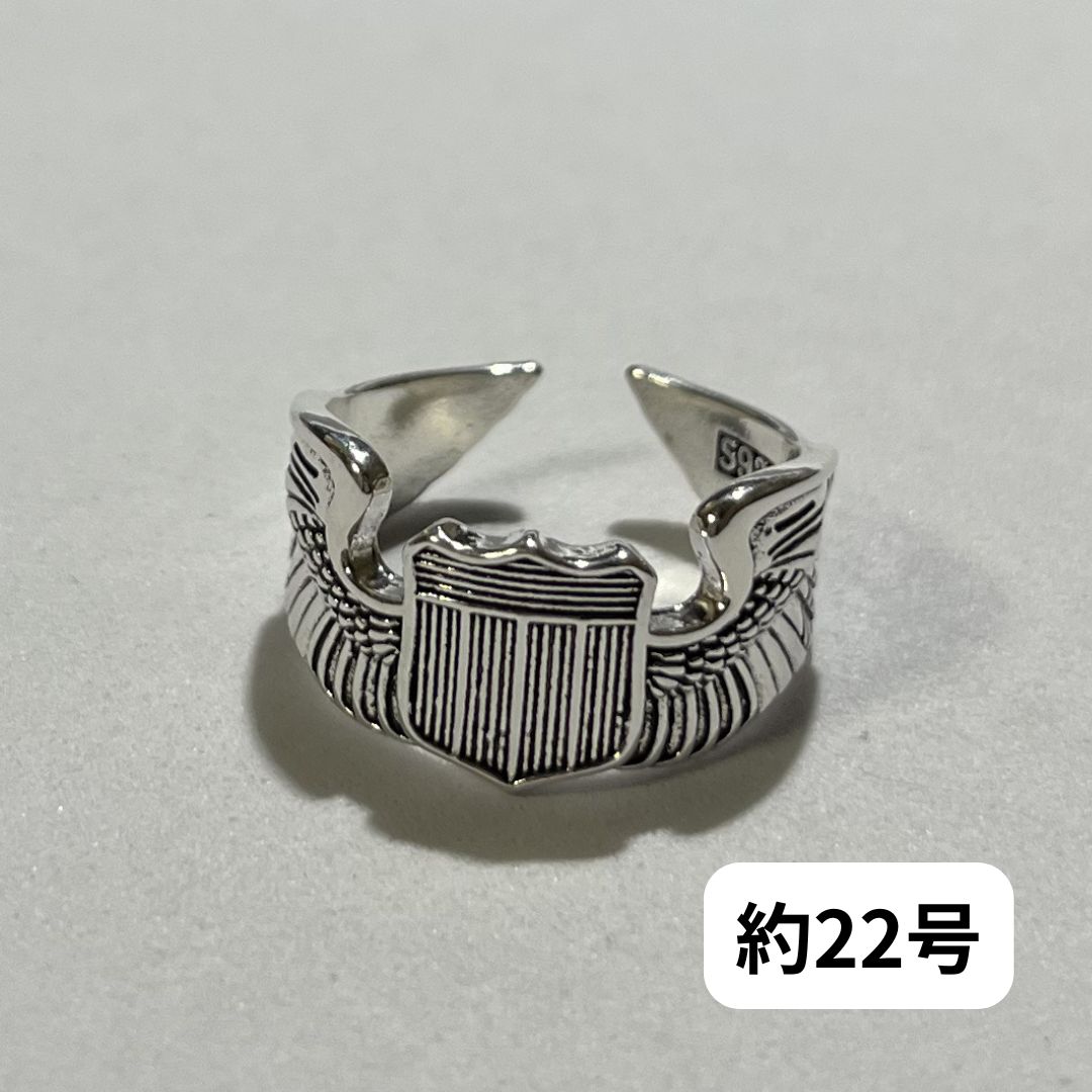DustSilver DSCR0760 指輪 5点セット アメカジ メキシカン