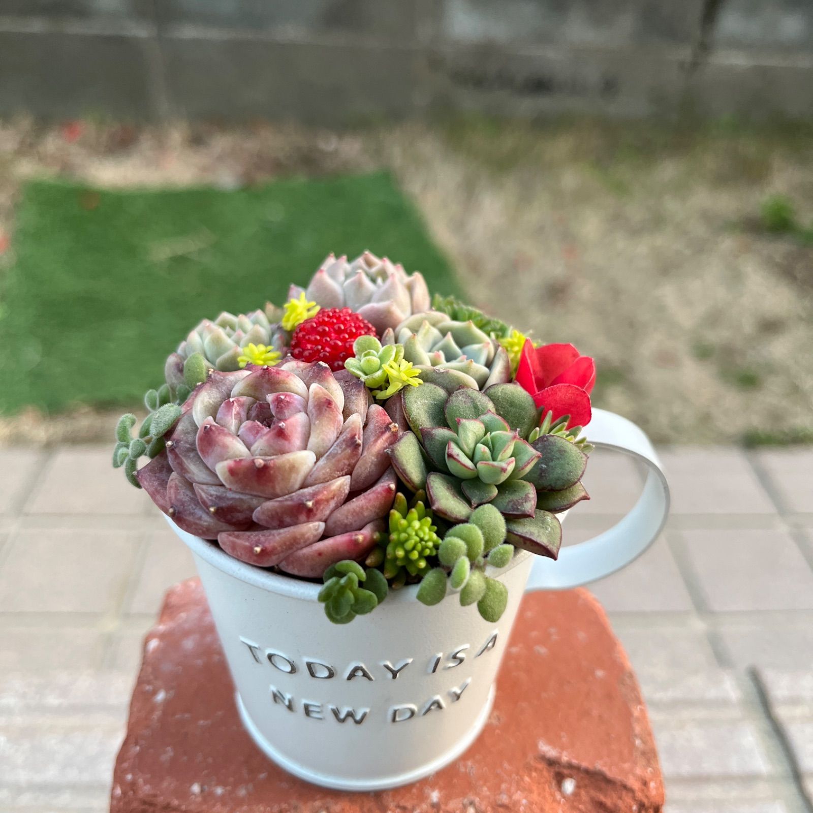 ♡そのまま飾れる♡ブリキカップ♬可愛い多肉植物寄せ植え