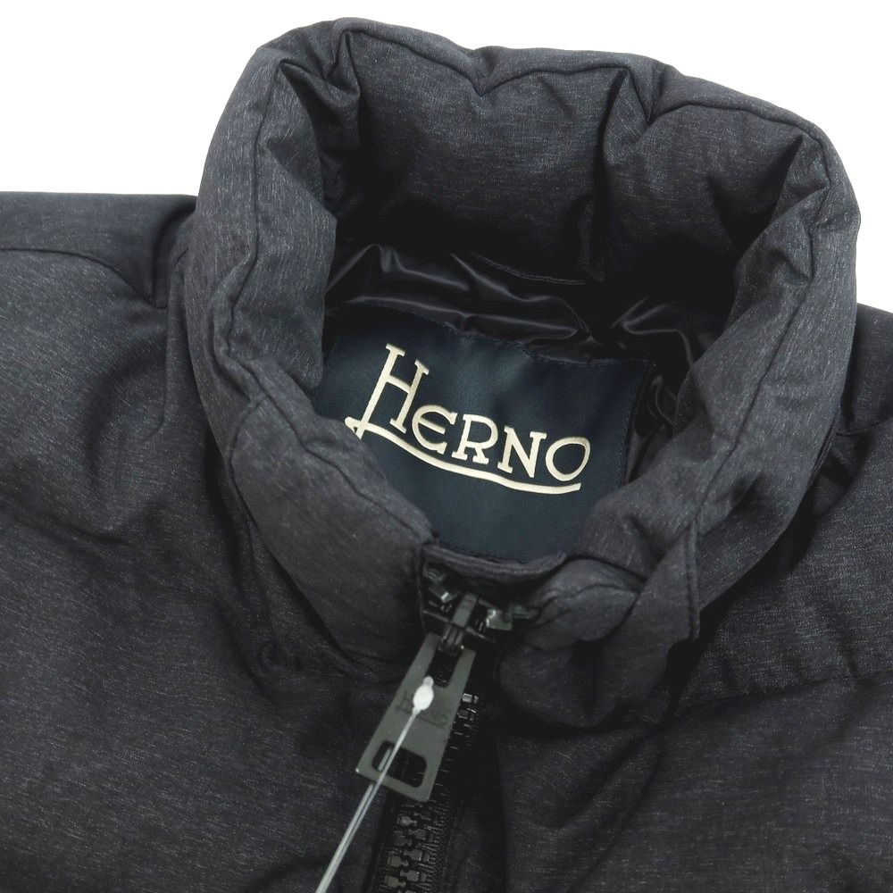 HERNO / ヘルノ | POLAR TECH 襟着脱可 ダウンジャケット | 48