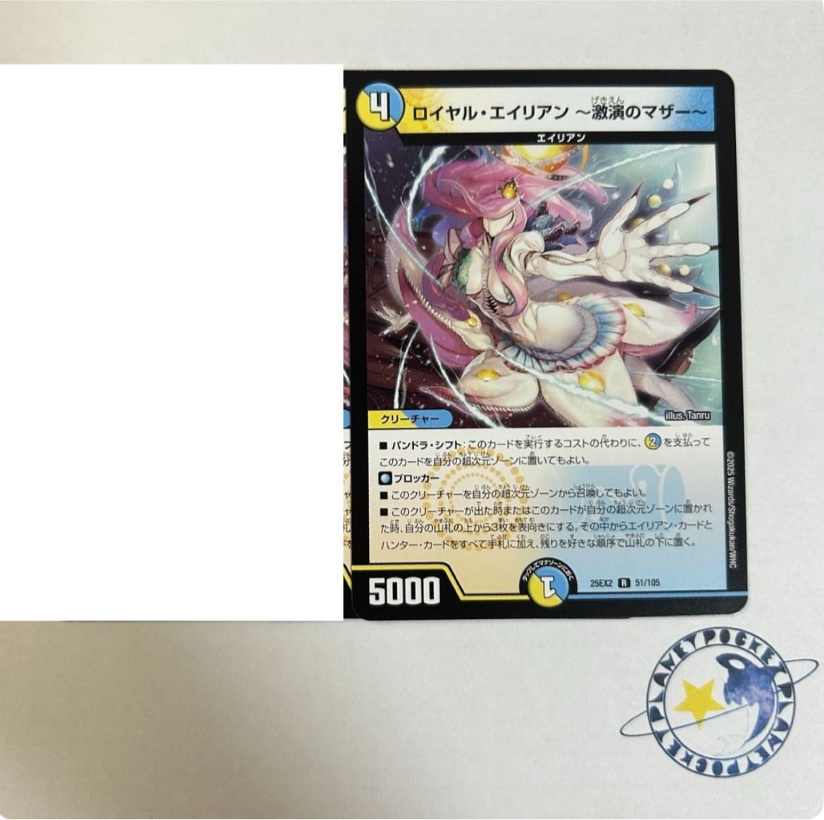 スーパーちんすこう様 専用 - メルカリ