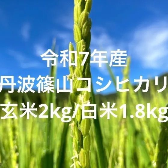 令和7年産【丹波篠山コシヒカリ】玄米2kg /白米約1.8kg 7年産も極上米