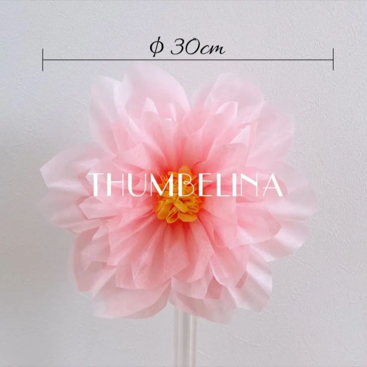 キキ様専用ページ - メルカリ