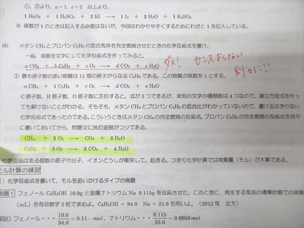 駿台 化学特講II(無機化学) テキスト 2018 夏期 景安聖士/増田重治