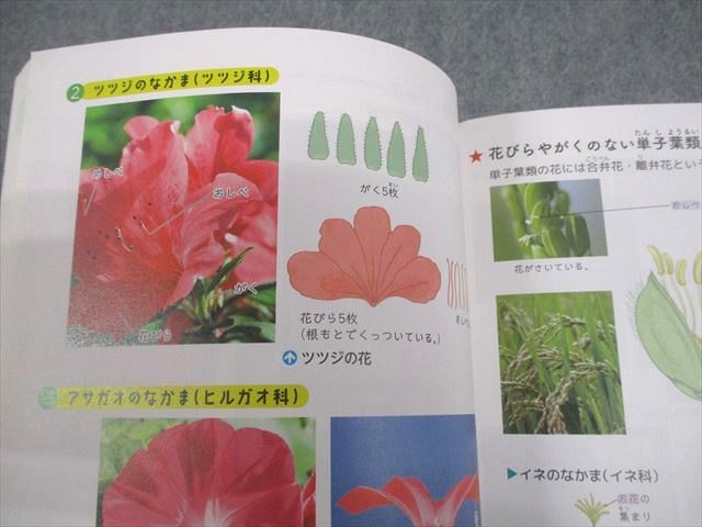 浜学園/受験研究社 小6 理科 ビジュアルサイエンス 2024 021m2C - メルカリ