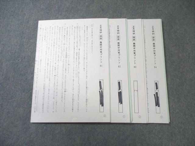 SAPIX 小6 サピックス 正月特訓 難関中対策プリント 国語 【計4回分