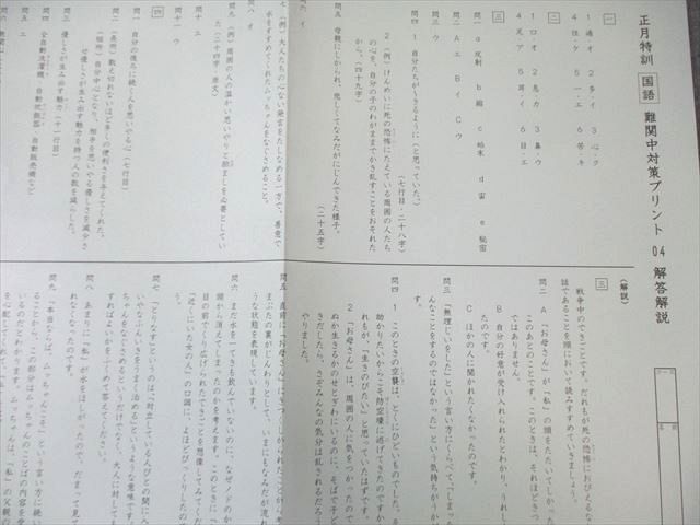 SAPIX 小6 サピックス 正月特訓 難関中対策プリント 国語 【計4回分