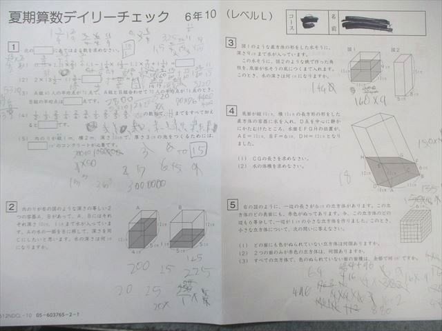 SAPIX 小6 サピックス 夏期算数デイリーチェック 【計16回分】 2024