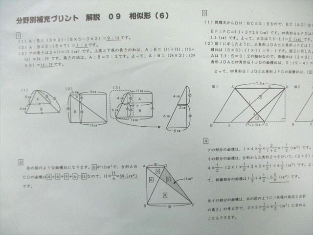 SAPIX 小6 サピックス 分野別補充プリント 【計18回分】 2024 017m2C