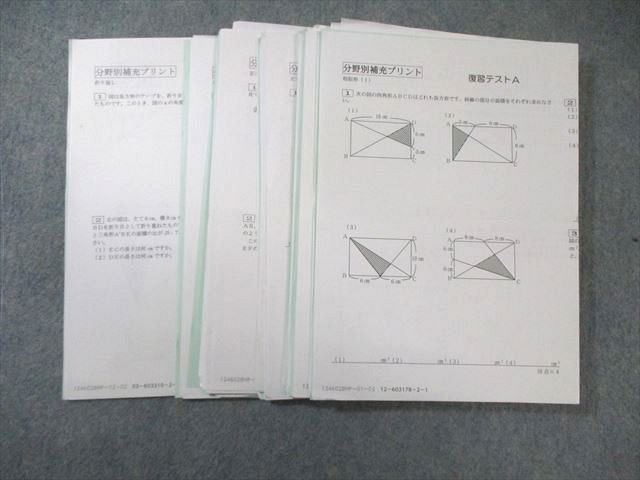 SAPIX 小6 サピックス 分野別補充プリント 【計18回分】 2024 017m2C