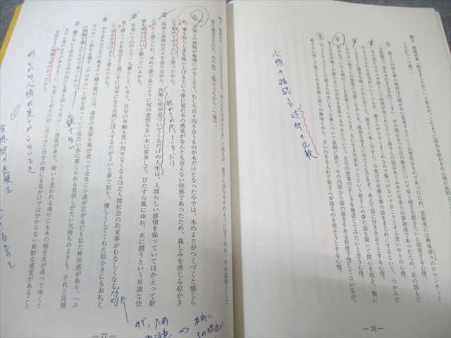 駿台 共通テスト現代文 パーフェクトレクチャー 2024 中野芳樹 007s0D
